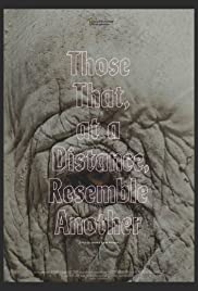 Those That, at a Distance, Resemble Another (2019)