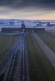 Auschwitz Countdown to Liberation (2025)