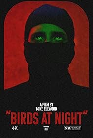 Birds at Night (2023)