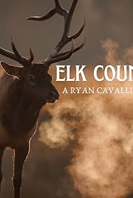Elk Country (2025)