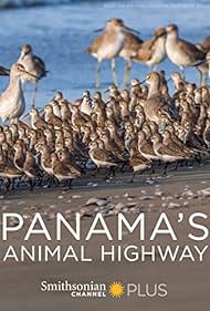Panamas Animal Highway (2017)