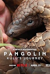 Pangolin Kulus Journey (2025)