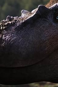 Walking with Dinosaurs (2025-)