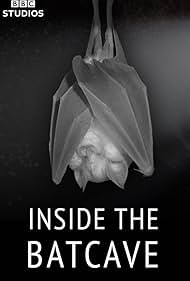 Inside the Bat Cave (2020)