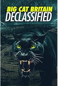 Panthera Britannia DeclassifiedBig Cat Britain Declassified (2023)