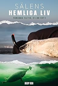 The Secret Life of Seals (2022)