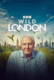 Wild London (2026)