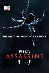 Wild Assassins (2023-)
